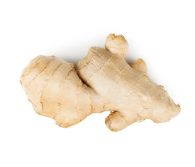 Ginger root isolated on white background. Top view