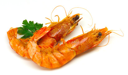 Study of prawns in shells against white background