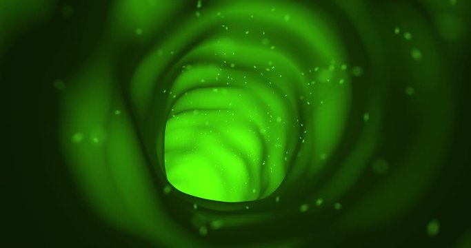 Travelling through water-filled xylem inside a plant. Clip loops seamlessly