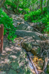 waterfall in the forest
