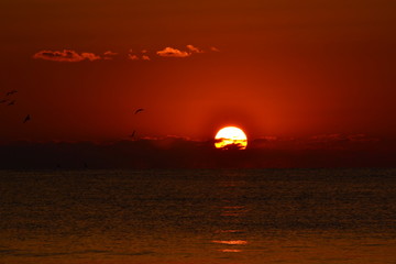 a beautiful sunrise at the seashore