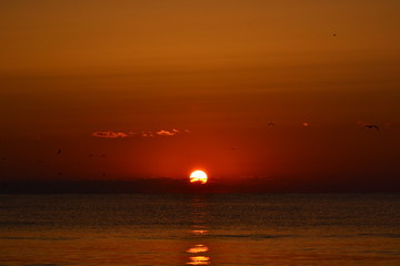 a beautiful sunrise at the seashore