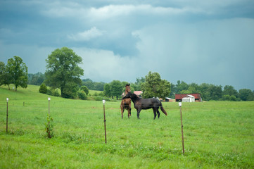 Horses play in pasture with dark sorm clouds overhead