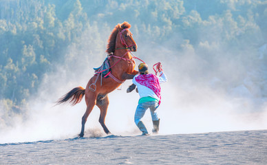 Red horse rearing up on desert with  unidentified horse rider