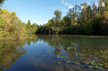 Fototapeta na wymiar La Bassée National nature reserve in Seine et Marne country