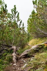 Wanderung auf das Demeljoch