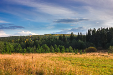 Obraz premium Sunset at the forest edge. Autumn landscape.