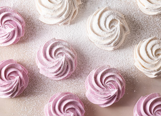 Many white and pink russian zephyr, top view