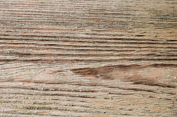 Fototapeta premium Wooden texture close up. Natural material concept. Abstract background