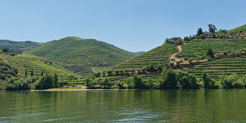 Obraz premium auf dem Douro, Nähe Pinhao, Portugal