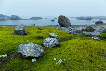 Foto op Aluminium Svalbard Islands, Artic Ocean, Norway, Europe © JUAN CARLOS MUNOZ