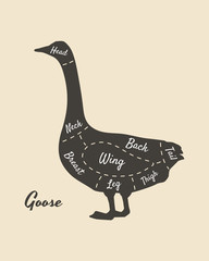 Meat diagram. Cuts of meat. Goose silhouette isolated on white background. Vintage poster for butcher shop, restaurant menu. Vector illustration