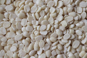 white lentil urad dal extreme super closeup macro