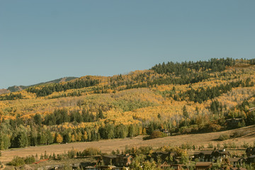 Obraz premium Beautiful mountains in Aspen on the Fall foliage season in September. Colorful trees in the mountains of Colorado state.