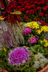 colorful  flowers decoration in the grave during All Saints Day