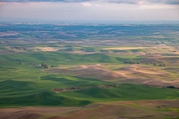 Aerial view of the farmland in the Palouse region of Eastern Washington state, USA