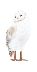 Soft owl toy on white background isolated