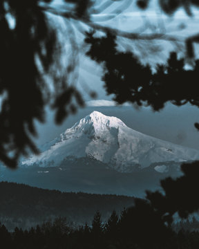 tall mountain in forest
