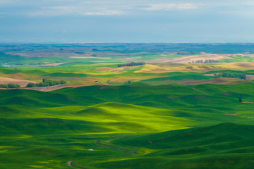 Fototapeta na wymiar Aerial view of the farmland in the Palouse region of Eastern Washington state, USA