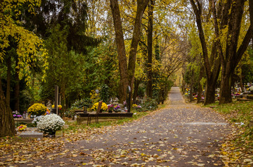 autumnal aisle path in the cemetery