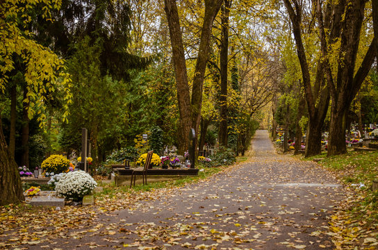 autumnal aisle path in the cemetery