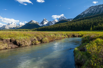 Naklejka na ściany i meble A creek and mountains in Kanaknskis Alberta, Canada