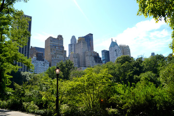 Fototapeta premium Central Park in New York USA.