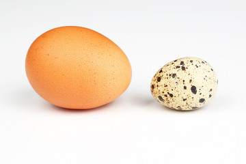 different chicken eggs on a white background