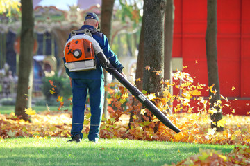 worker in the Park cleans the grass from fallen leaves with the help of a wind turbine