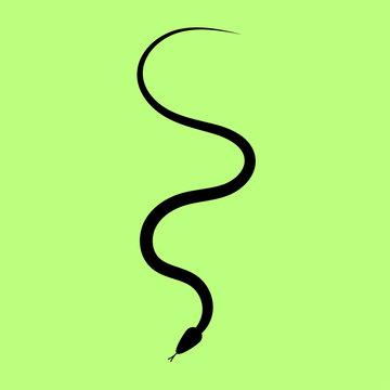 Snake logo design on green background. Snake sign.