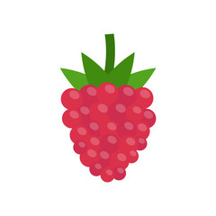 Raspberry icon. Vector illustration. Flat design.
