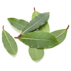 Obraz premium Aromatic bay leaves