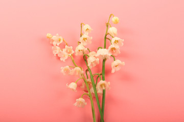 lilies of the valley on a pink background
