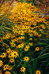 Botanischer Garten und Tropenhäuser in Hamburg