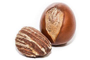 Shea butter. Vitellaria paradoxa on white bacground