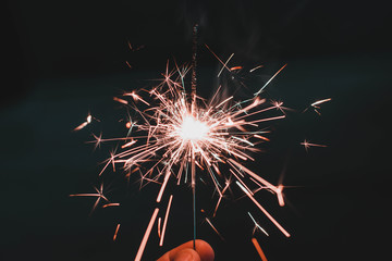 Fototapeta premium Firework