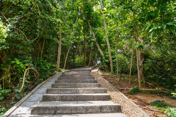 Fototapeta premium Stone steps in a city park