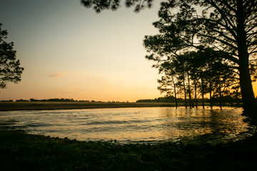 Fototapeta na wymiar a pond lake at sunset with pine trees
