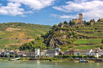 Fototapeta na wymiar Burgen am Rhein - Pfalzgrafenstein