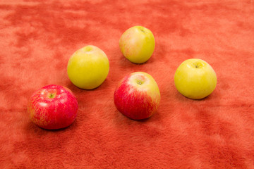 Still life Apples on red fur.