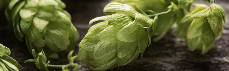 close up view of fresh green hop on wooden table, panoramic shot