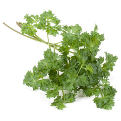 parsley leaves bunch isolated on white background cutout