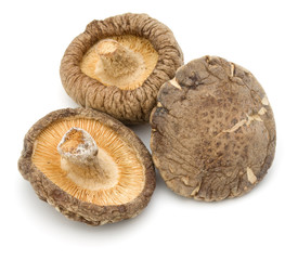 Dried Shiitake Mushroom isolated on white background
