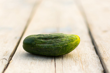 Green cucumber from the crop of the garden, lies on a wooden table in the open air against the background of a green garden for healthy and delicious food in the form of a salad of fresh vegetables