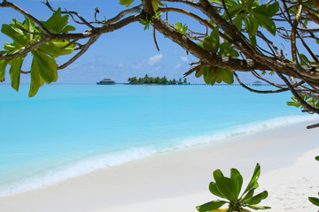 Beautiful view of white sand Maldivian beach and a blue calm Indian ocean in clear sunny vacation day