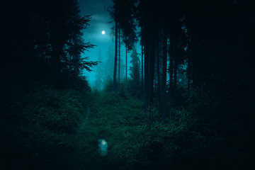 Footpath in the dark, foggy, mysterious forest. Full moon on the sky with reflection in the puddle...