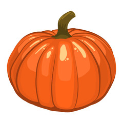 Thanksgiving pumpkin isolated on white