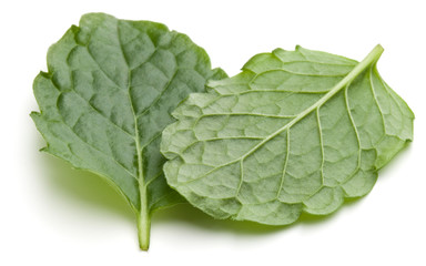 Peppermint herb isolated on white background cutout. Mint leaves.