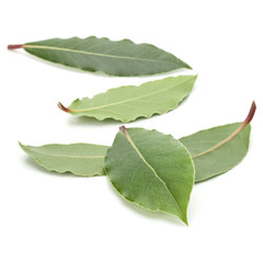 Obraz premium Aromatic bay leaves