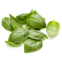 Sweet basil herb leaves handful isolated on white background closeup